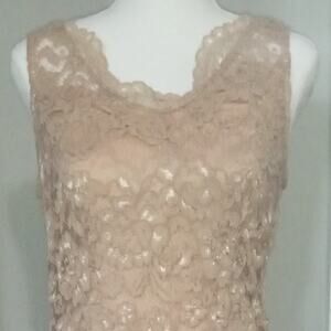 Blu Sage lace midi dress - sz 12